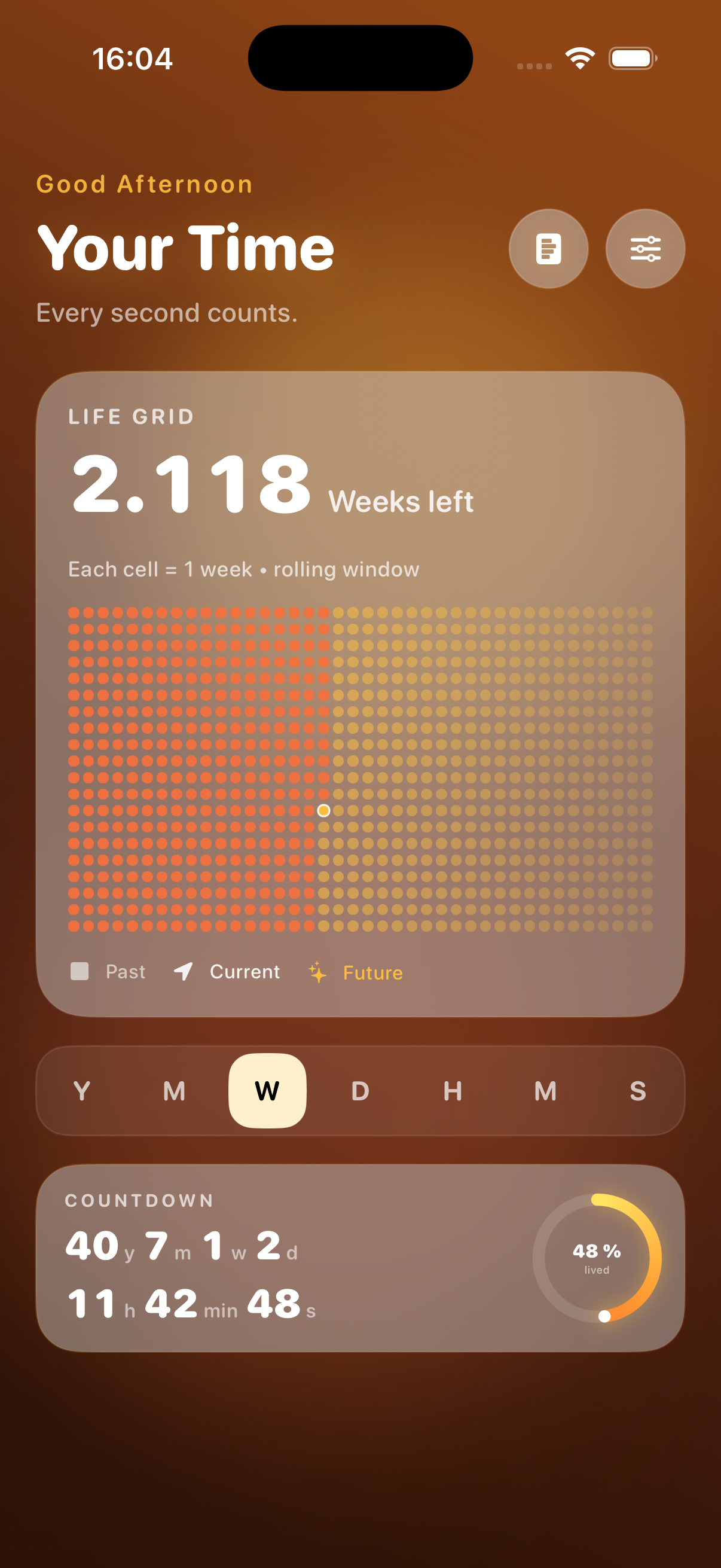 LifeChron grid screen showing life in weeks and progress blocks.